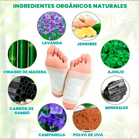 Parches Detox Naturales Kinoki